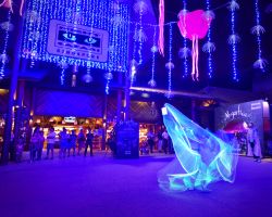 Giochi di luce al Night Safari di Singapore. Uno spettacolo di illuminazione e suoni a cui si può assistere al Night Safari, parco che ospita oltre 120 specie di animali - © tristan ...