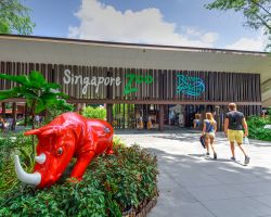 Ingresso di Zoo e River Safari a Singapore. Per chi desidera incontrare gli animali in grandi spazi recintati, immersi nella natura, e vedere da vicino gli ecosistemi di sette fiumi del mondo ...