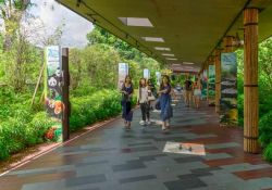 La visita allo Zoo di Singapore. E' considerato uno dei migliori parchi zoologici del mondo: questa ampia struttura si estende su 28 ettari di ricca vegetazione che si protendono nelle acque ...