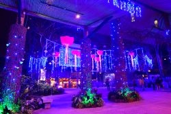 Spettacolo di luci al Night Safari di Singapore. Aperto al pubblico dalle 19.30 alle 24, il Night Safari accoglie i visitatori con una suggestiva atmosfera colorata da luci e illuminazioni - tristan ...