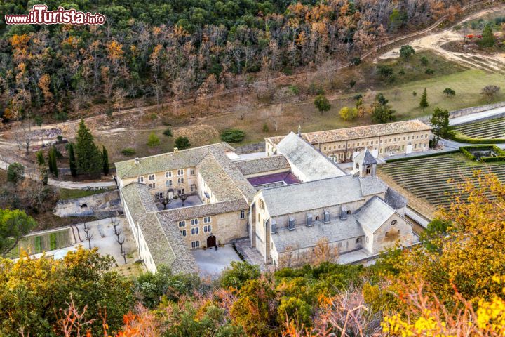 Immagine Il monastero Cistercense di Senanque a sud di Gorges in Francia - © Jorg Hackemann / Shutterstock.com