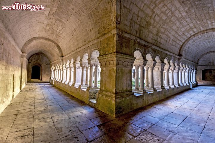 Immagine La visita al chiostro dell'Abbazia di Senanque in Provenza - © Jorg Hackemann / Shutterstock.com