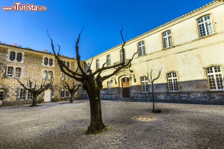 Immagine La visita al complesso Cistercense di Senanque, nel sud della Francia - © Jorg Hackemann / Shutterstock.com