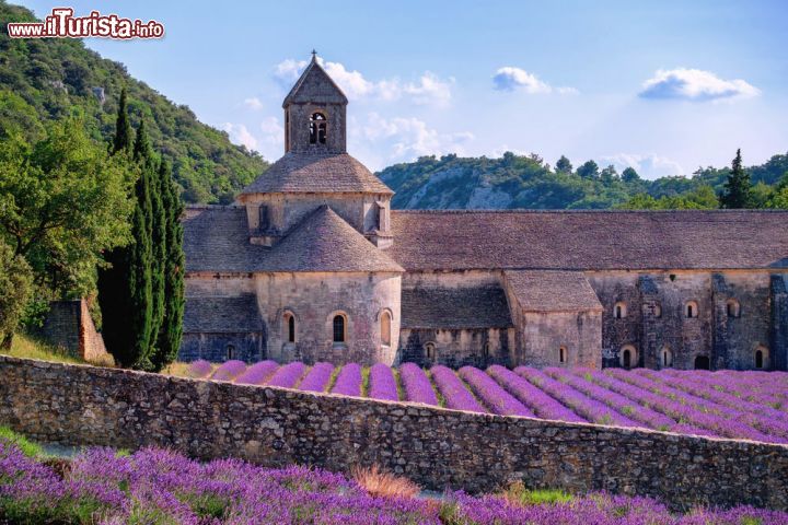 Immagine L'Abbazia Cistercense di Nostra Signora di Senanque fotografata durante la fioritura della Lavanda a Gordes in Provenza - © Boris Stroujko / Shutterstock.com