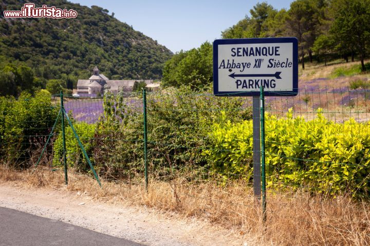 Immagine Arrivare all'Abbazia di Senaque: un comodo parcheggio si trova all'esterno del complesso monastico e da li si raggiunge la chiesa attraverso gli spettacolari campi di lavanda, che fiorisce all'inizio dell'estate - © Luboslav Tiles / Shutterstock.com