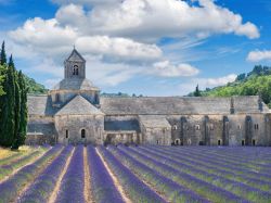 Lo spettacolo della fioritura della lavanda intorno alla chiesa Cistercense di Senanque a Gordes, in Provenza - © LiliGraphie / Shutterstock.com