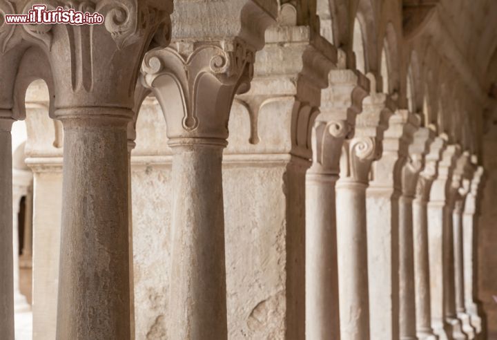 Immagine Un particolare delle colonne e dei capitelli del chiostro dell'Abbazzia Benedettina (Cistercense) di Senanque in Provenza - © PerseoMedusa / Shutterstock.com