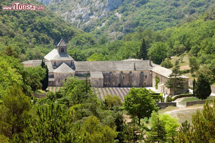 Immagine Una fotografia aerea del monastero Cistercense di Senanque in Francia - © Julia Kuznetsova  / Shutterstock.com