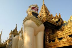 Cinthe il leone guardiano della Pagoda d'oro (Shwedagon Paya) di Yangon in Birmania - © Roberto Cornacchia / www.robertocornacchia.com