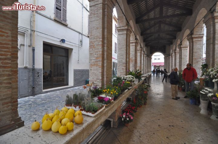 Immagine Un Mercatino floreale domenicale allesito nella Vecchia Pescheria di Rimini, che s'affaccia nella centrale Piazza Cavour