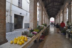 Un Mercatino floreale domenicale allesito nella Vecchia Pescheria di Rimini, che s'affaccia nella centrale Piazza Cavour
