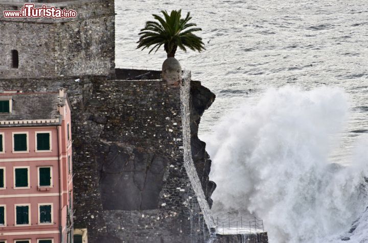 Immagine Mareggiata sulle rocce del forte di Camogli in Liguria  - © Luisa Puccini / Shutterstock.com