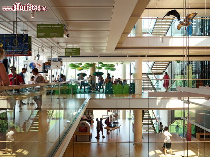 Immagine Gli interni spaziosi e luminosi del MUSE di Trento - © pio3 / Shutterstock.com