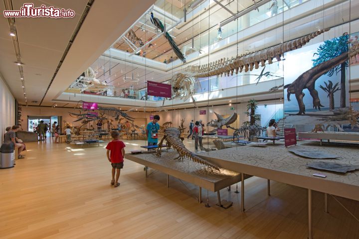 Immagine Un bambino esplora le affascinanti installazioni del museo delle Scienze di Trento, il MUSE - © pio3 / Shutterstock.com