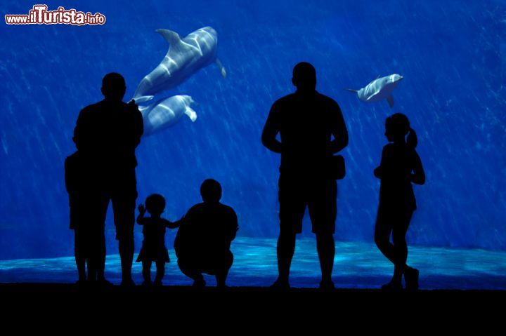 Immagine Famiglia in visita all'Aquario di Genova - © Gervasio S. _ Eureka_89 / Shutterstock.com