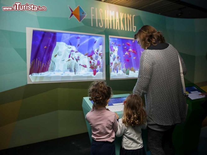 Immagine Fish making la divertente esperienza per i bambini più piccoli all'Acquario di Genova - © acquariodigenova.it