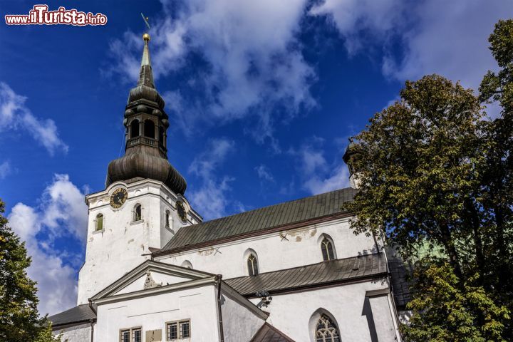 Immagine Particolare della parte alta della facciata della cattedrale luterana di Tallinn - © Kiev.Victor / Shutterstock.com