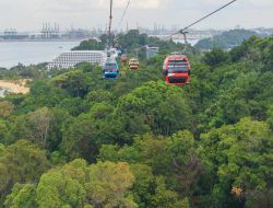 La telecabina su mare che collega Singapore con la verde isola di Singapore - © nattanan726 / Shutterstock.com 