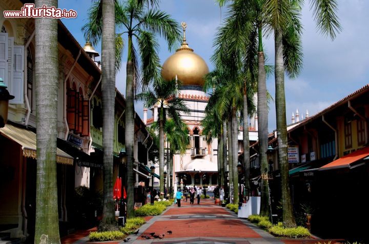 Immagine Bussorah Street a Kampong Glam, Singapore. Negozi e botteghe artigianali in Bussorah Street accompagnano alla Masjid Sultan Singapura Mosque, costruita fra il 1924 e il 1928, nello storico distretto arabo di Kampong Glam - © LEE SNIDER PHOTO IMAGES / Shutterstock.com