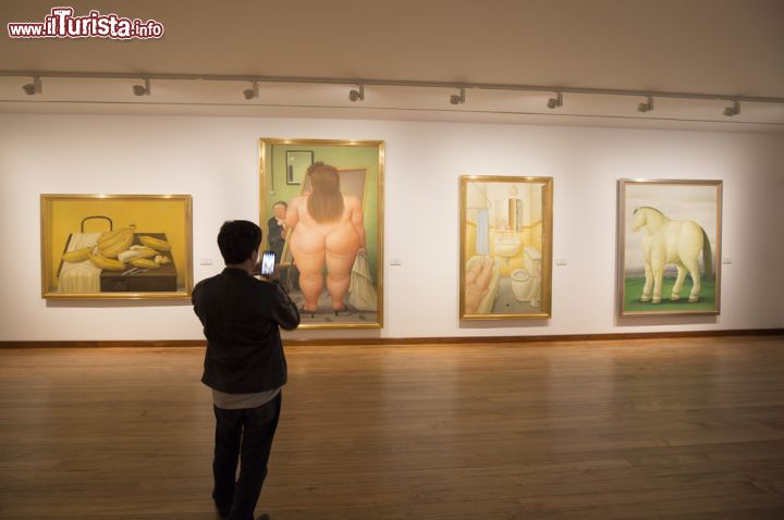 Immagine Una delle sale di casa Candelaria che accoglie il Museo Botero di Bogotà. Oltre alle particolari pitture e sculture di Fernando Botero, famoso per i suoi grassi personaggi, il museo ospita importanti opere d'arte di artisti del calibro di Picasso e Salvador Dalì, oltre ad altri importanti autori: facevano tutti parte della Collezione Botero che l'artista donò alla BAnca della Repubblica. - © posztos / Shutterstock.com