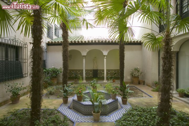Immagine Il giardino interno del Museo Sorolla di Madrid - © Joseph Sohm / Shutterstock.com
