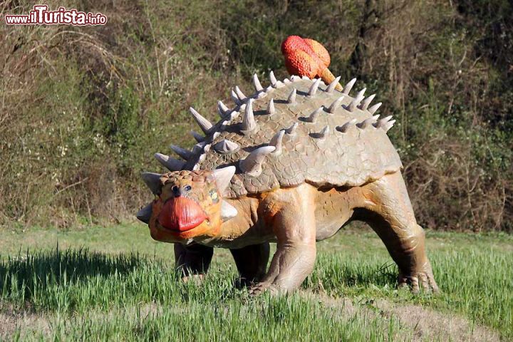 Immagine Un Anchilosauro, il rettile corazzato, al Parco dei Dinosauri di Matelica - © www.lepietredeldrago.it