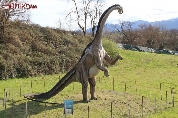 Immagine Ecco come doveva apparire l'Apatosauro, uno dei grandi erbivori del Parco dei Dinosauri di Matelica - © www.lepietredeldrago.it