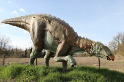 Una riproduzione del DInosauro Antonio, una scoperta italiana, un varietà di Adrosauro come potete ammirare al Parco dei Dinosauri di Matelica - © www.lepietredeldrago.it