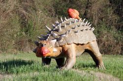 Un Anchilosauro, il rettile corazzato, al Parco dei Dinosauri di Matelica - © www.lepietredeldrago.it