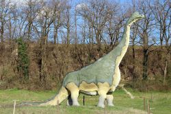 Il Camarasauro è uno tra i dinosauri più studiati, grazie ai numerosi ritrovamenti. Poteva raggiungere i 18 metri di lunghezza. Eccolo al Parco dei Dinosauri di Matelica - © ...