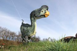 Il simpatico Oviraptor esposto Parco dei Dinosauri di Matelica - © www.lepietredeldrago.it