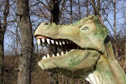 La testa dell'Albertosauro al Parco dei Dinosauri di Matelica - © www.lepietredeldrago.it