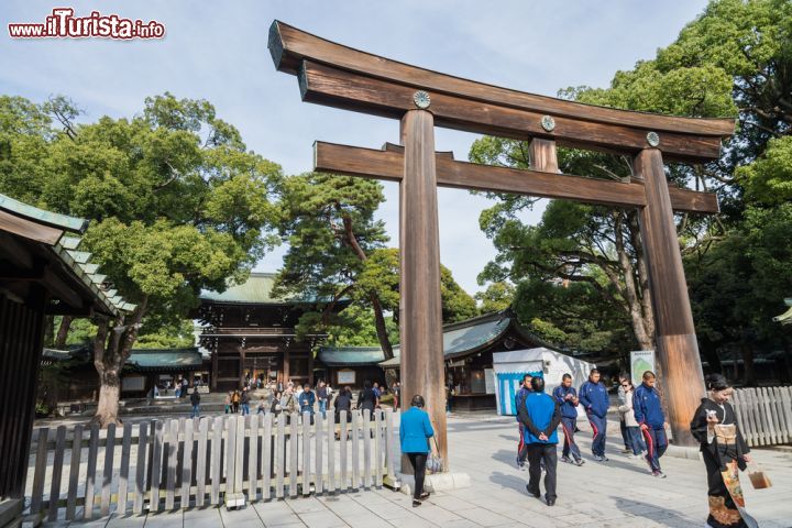 Immagine Il Torii all'ingresso del tempio Meiji di Tokyo - © Jeerawut Rityakul / Shutterstock.com