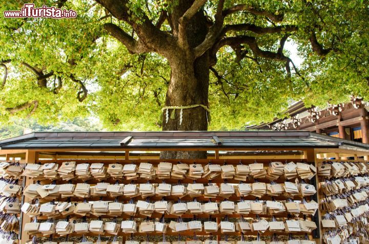 Immagine Le preghiere dei fedeli nel giardino del Tempio di Meiji Jingu a Tokyo - © iamzereus / Shutterstock.com