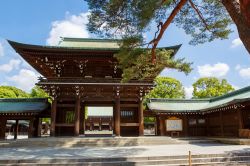 La visita al Meiji Shrine, il tempio shintoista di Tokyo: si trova nel quartiere Shibuya della capitale del Giappone