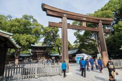 Il Torii all'ingresso del tempio Meiji di Tokyo - © Jeerawut Rityakul / Shutterstock.com 