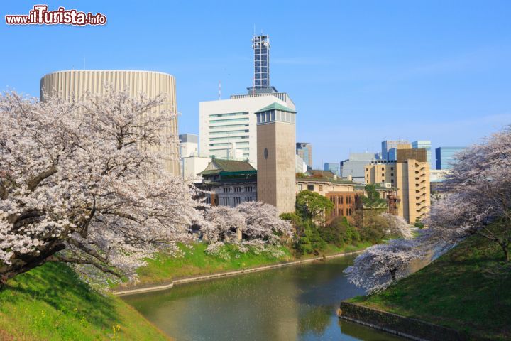 Immagine I giardini Imperiali si trovano in pieno centro a Tokyo, la capitale del Giappone