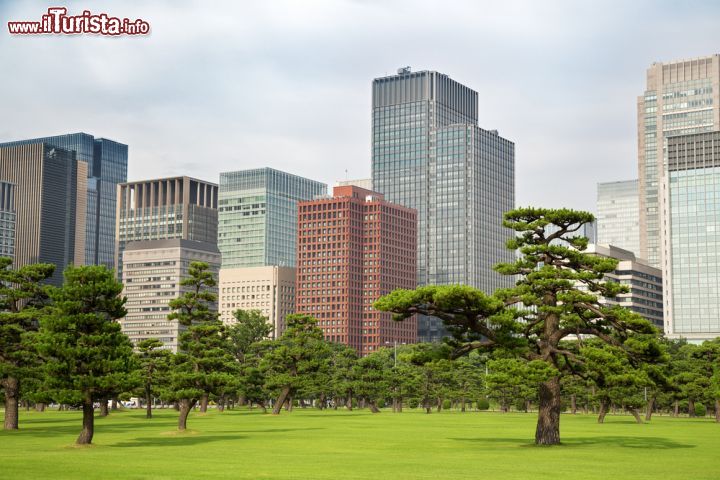 Immagine La skyline di Tokyo incombe sui curatissimi e  rilassanti giardini imperiali: siamo nel centro della megalopoli giapponese