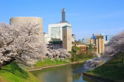 I giardini Imperiali si trovano in pieno centro a Tokyo, la capitale del Giappone