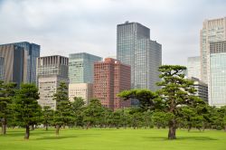 La skyline di Tokyo incombe sui curatissimi e  rilassanti giardini imperiali: siamo nel centro della megalopoli giapponese