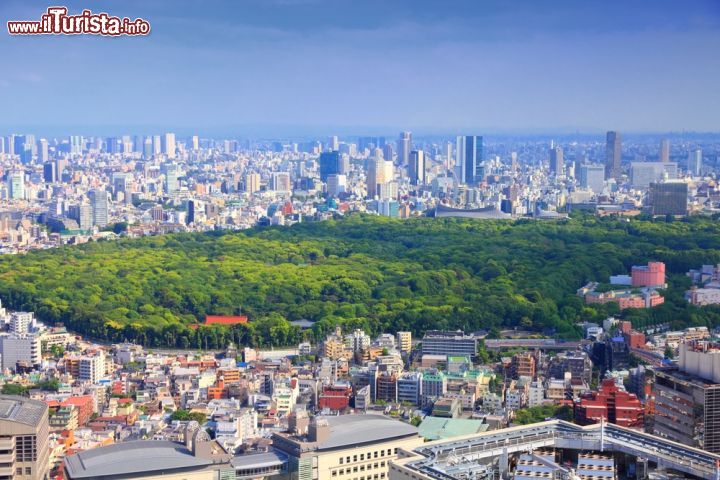 Immagine I quartieri di Shinjuku e Shibuya con il famoso Yoyogi Park nel centro di Tokyo