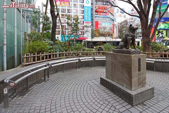 Immagine Il monumento del cane Hachiko a Shibuya, Tokyo - © Shayneppl / Shutterstock.com