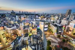 Vista panoramica notturna del Quartiere Shibuya a Tokyo, Giappone - © Sean Pavone / Shutterstock.com 