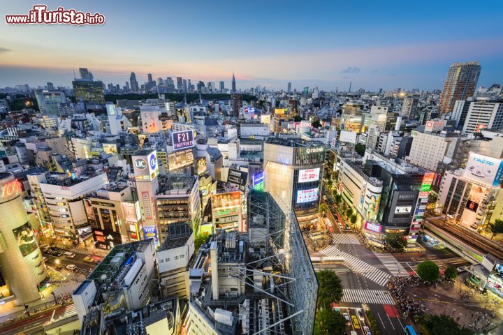 Immagine Vista panoramica notturna del Quartiere Shibuya a Tokyo, Giappone - © Sean Pavone / Shutterstock.com