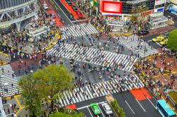 Tokyo: l'attraversamento pedonale di Shibuya ...