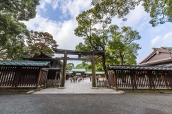 Il tempio Meiji Shrine di Tokyo si trova nel quartiere Shibuya - © e X p o s e / Shutterstock.com 