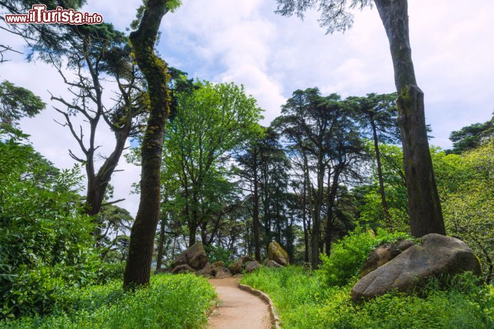 Immagine Il parco del Palacio Nacional da Pena a Sintra, Portogallo. Tutelato dall'Unesco, che lo ha inserito nel Patrimonio dell'Umanità nel 1995, dal luglio 2007 fa parte delle 7 meraviglie del Portogallo