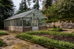 Una serra nel parco del Palacio Nacional da Pena a Sintra, Portogallo. Tutto attorno al castello si estende per diversi ettari il Parque da Pena dove si può andare alla scoperta di suggestivi ...