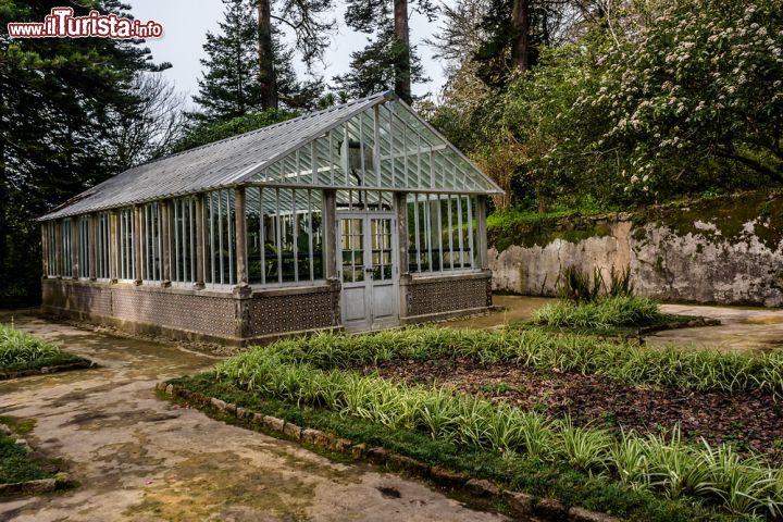 Immagine Una serra nel parco del Palacio Nacional da Pena a Sintra, Portogallo. Tutto attorno al castello si estende per diversi ettari il Parque da Pena dove si può andare alla scoperta di suggestivi tesori architettonici e naturalistici come le piante di specie botaniche esotiche che si mescolano a quelle di origine nordica