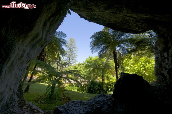 Immagine Il lussureggiante giardino di Palazzo da Regaleira a Sintra